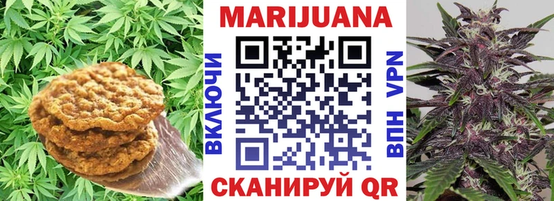дарнет шоп  Майский  Cannafood конопля 