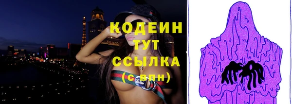 мдпв Майский