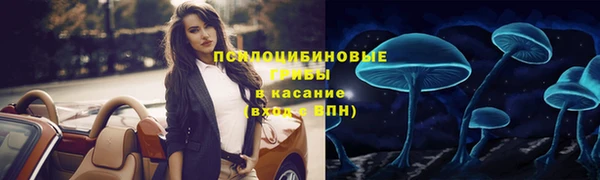 прущая мука Магас