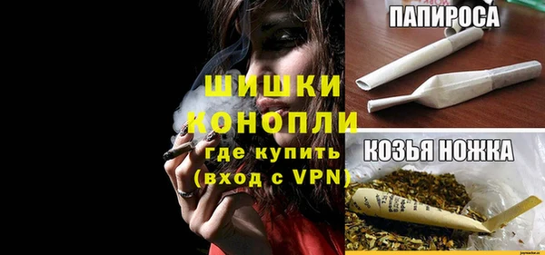 мдпв Майский