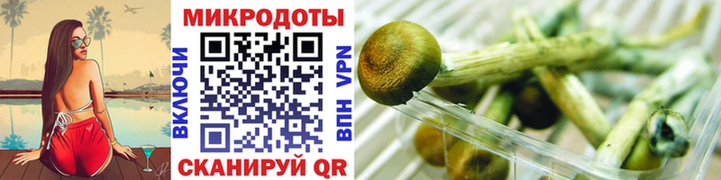 как найти Майский Галлюциногенные грибы мухоморы